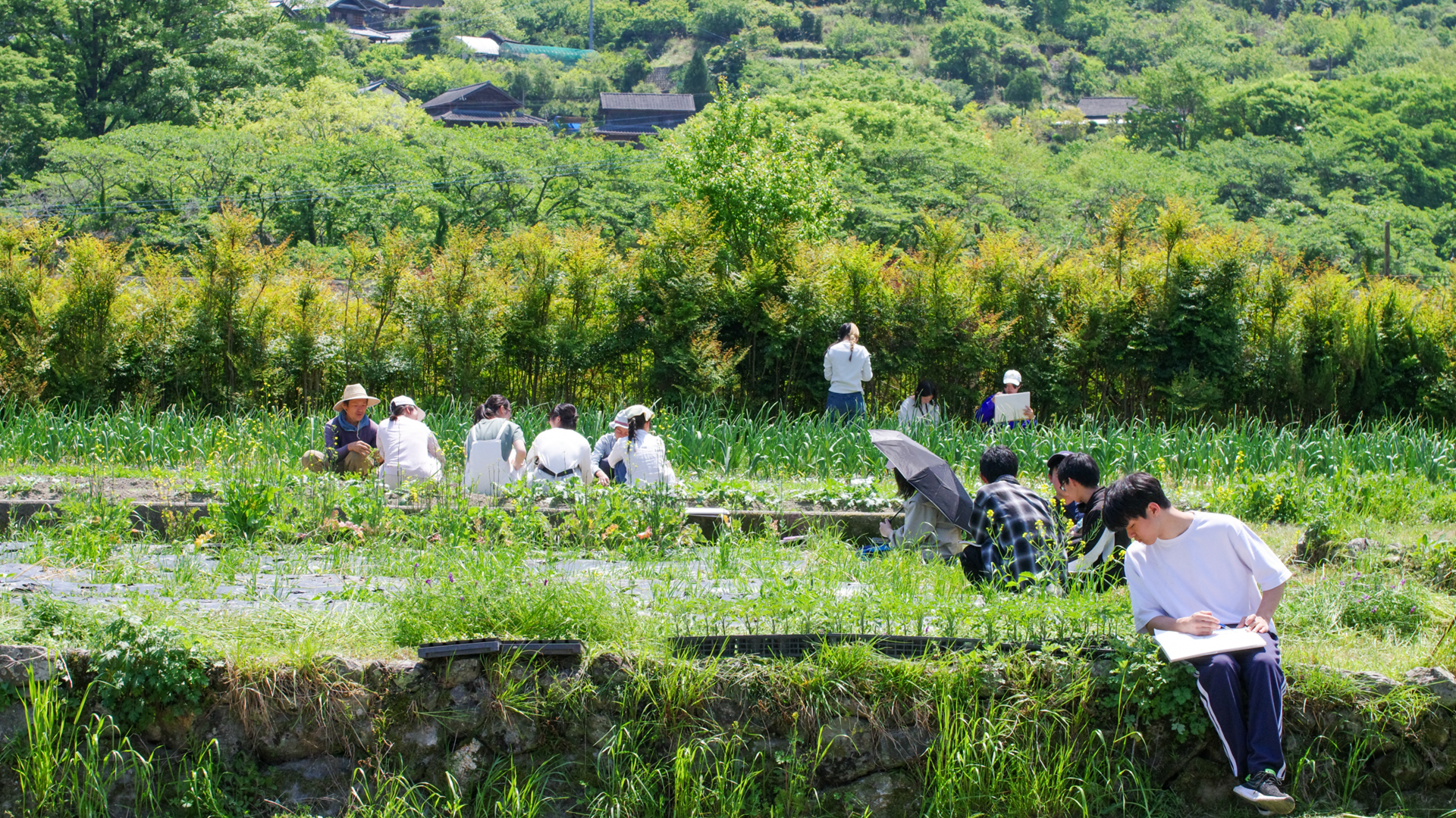 Botanical Outlines of Kamiyama（グラフィックデザイン）